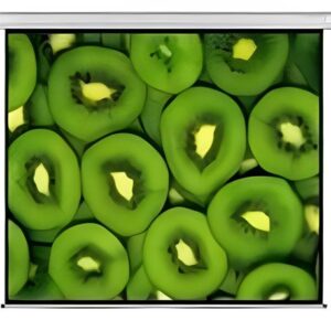 Experience superior viewing with the Esquire