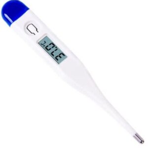 Casey Blue Electronic Thermometer - Image 1
