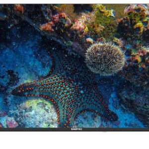 Sinotec 40 inch STL-40T1D HD Ready LED TV