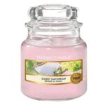 Yankee Candle Sunny Daydream Small Jar Retail Box No