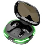 Ezra True Bluetooth5.1 Black Earbuds in a compact