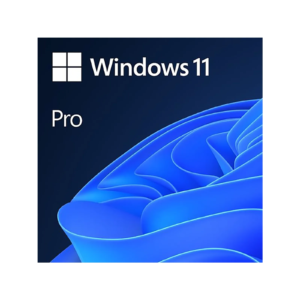 Microsoft Windows 11 Professional Single-User ESD License - Image 1