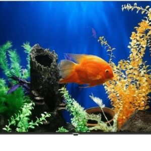 Sinotec 55 inch G1U UHD Smart LED TV