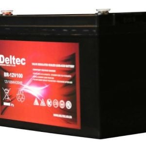 Deltec 12V 100Ah AGM Battery - Image 1