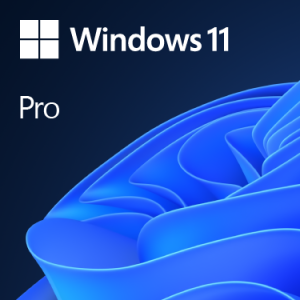 Microsoft Microsoft Windows11 Pro64Bit DSP - Image 1