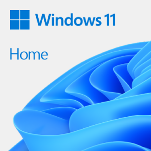 Microsoft Microsoft Windows11 Home64Bit DSP - Image 1