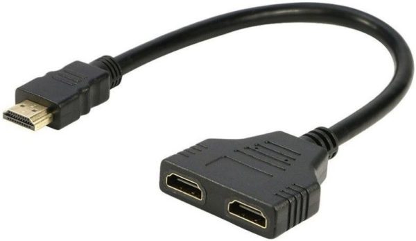 Big_hdmit2hdmifc-800x593-2