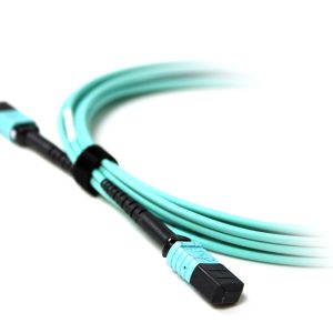 Acconet Patch Lead 12Core MPO Female to MPO Female 5M - Image 2