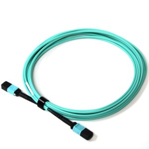 Acconet Patch Lead 12Core MPO Female to MPO Female 5M - Image 3