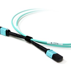Acconet Patch Lead 12Core MPO Female to MPO Female 1M - Image 2