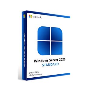 Windows Server 2025 Standard No Media WS2022 Std Downgrade w/DVD Media Multi Lang Customer Kit - Image 1