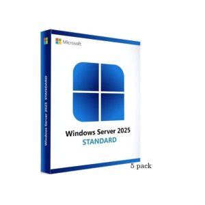 5-pack of Windows Server 2025/2022 User CALs (STD or DC), Cus Kit - Image 1