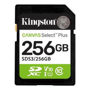 Kingston 256GB Portable USB 3.2 Gen 1 DataTraveler Exodia Black/Green - Image 1