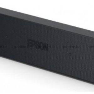 Epson Ink Bags Black WF-C21000 50000 pages - Image 1