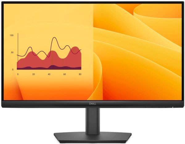 Big_Dell-Pro-E2225HM-3